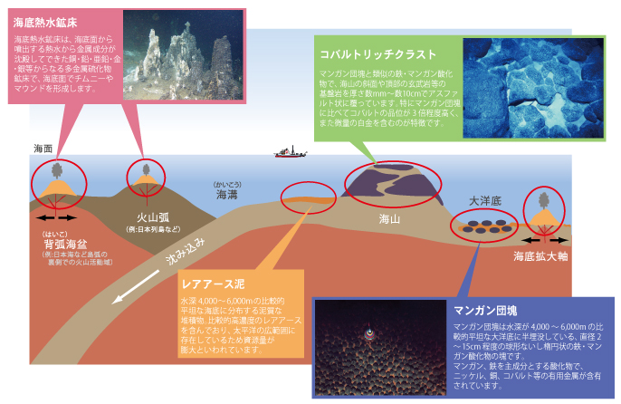 基本情報のイメージ